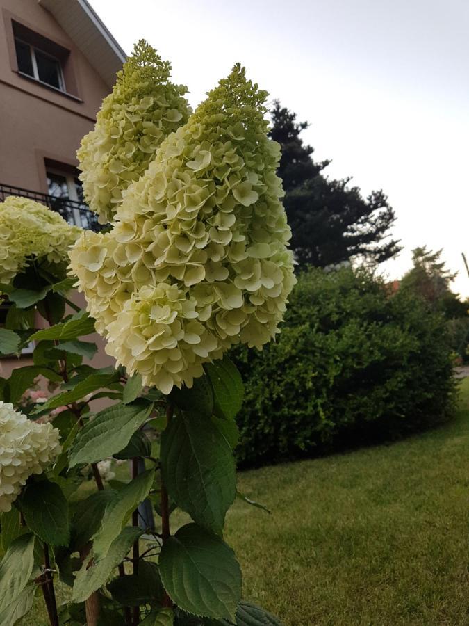 Apartament Janina Pobierowo Zewnętrze zdjęcie